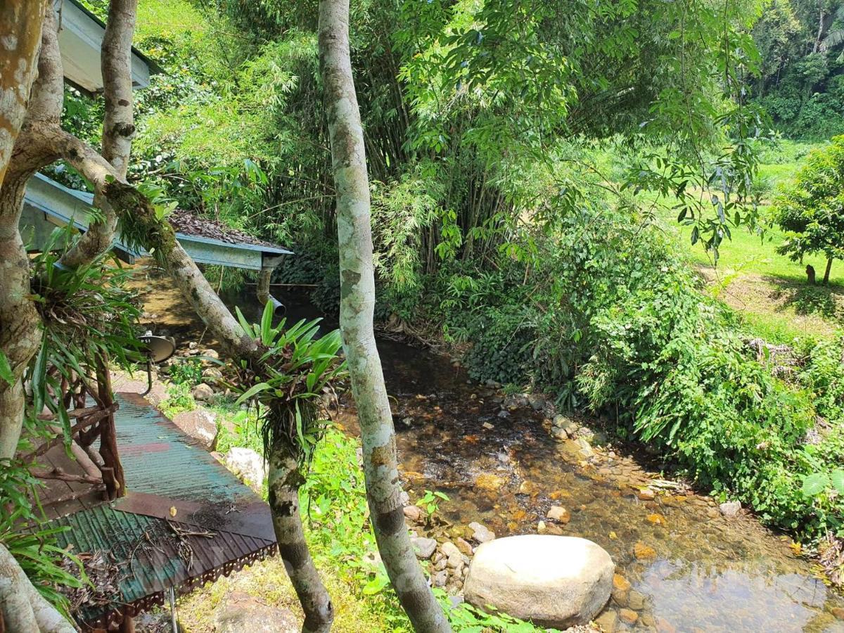 Malulee Khaosok Resort Khao Sok National Park ภายนอก รูปภาพ