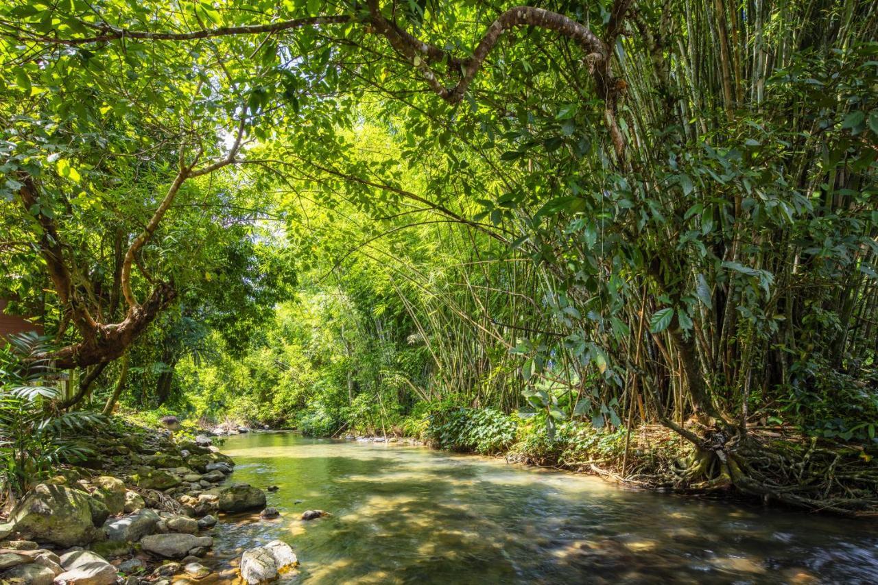 Malulee Khaosok Resort Khao Sok National Park ภายนอก รูปภาพ