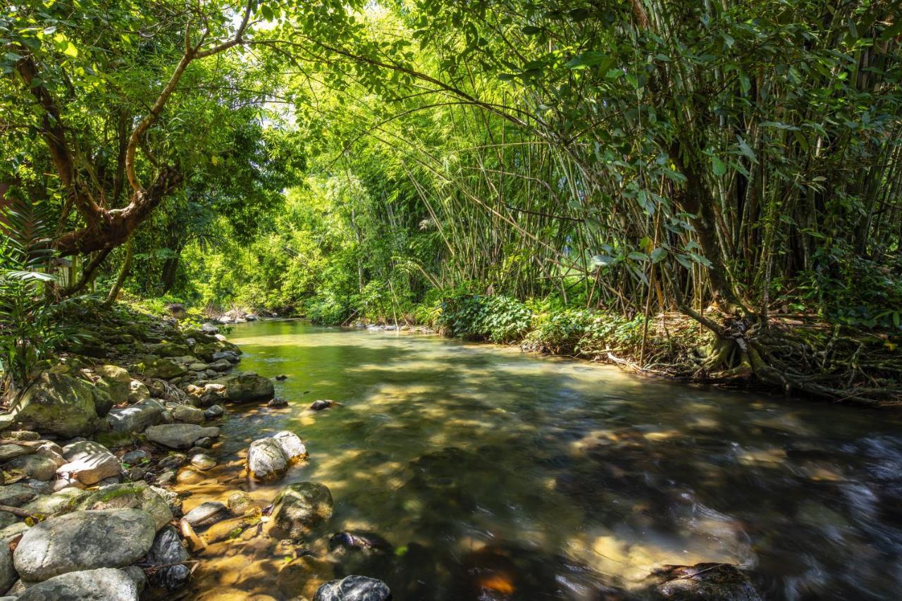 Malulee Khaosok Resort Khao Sok National Park ภายนอก รูปภาพ