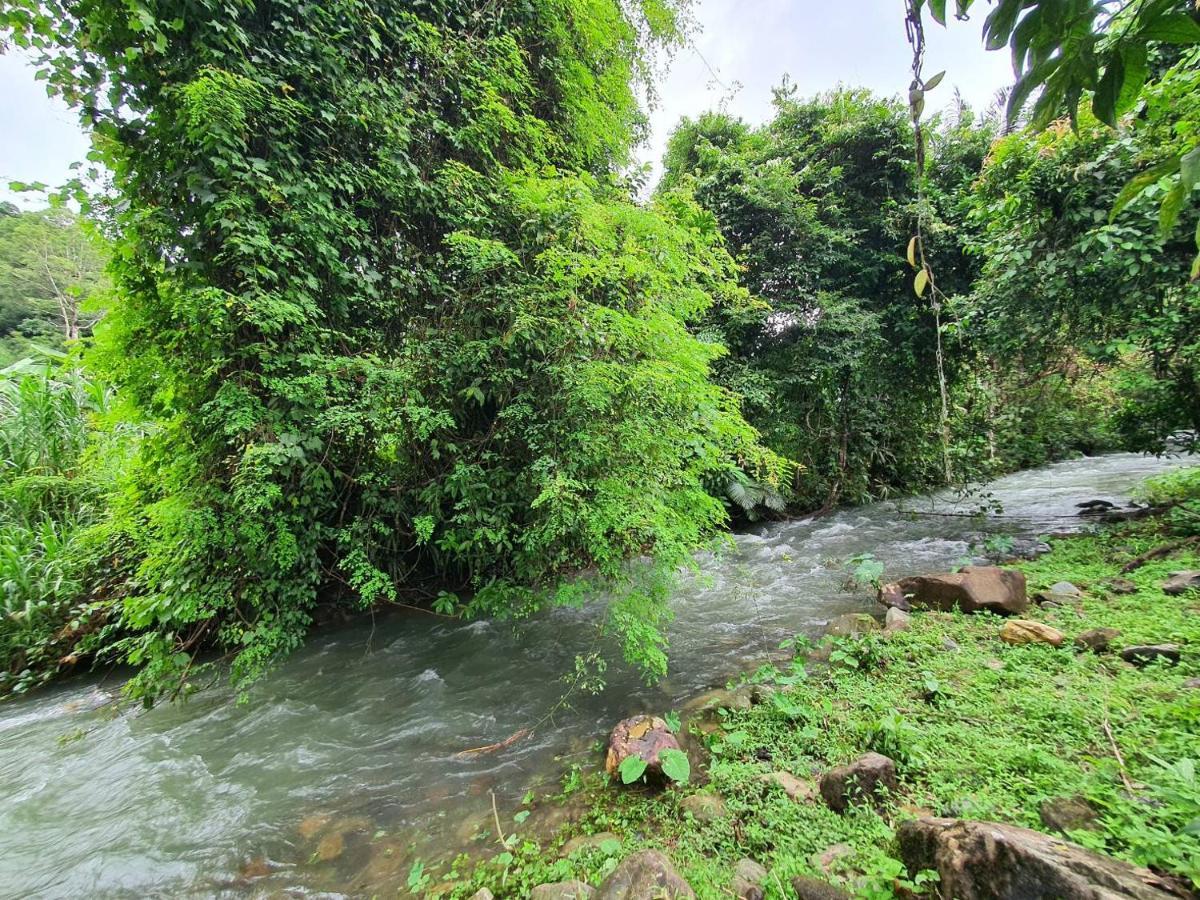 Malulee Khaosok Resort Khao Sok National Park ภายนอก รูปภาพ