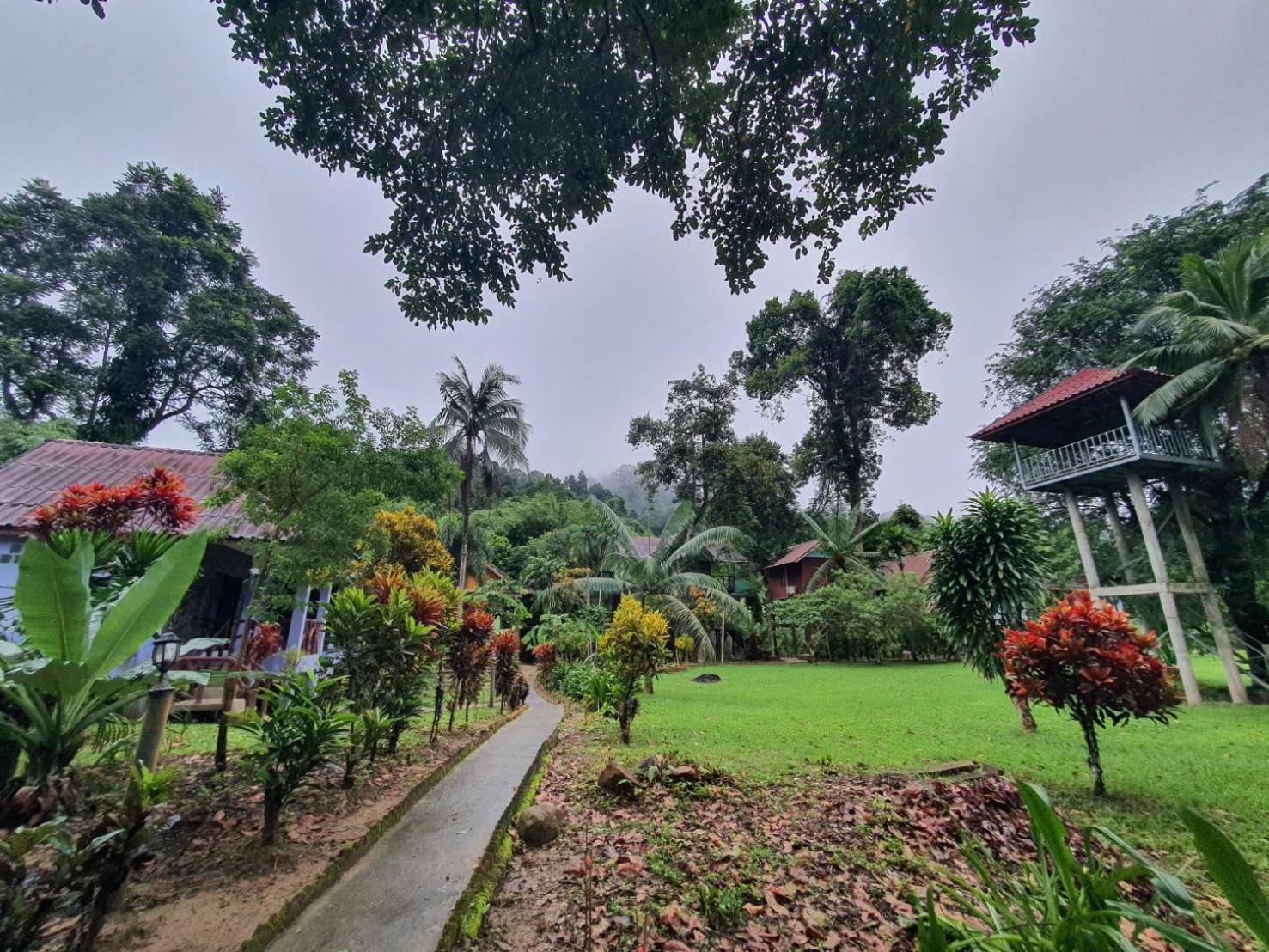 Malulee Khaosok Resort Khao Sok National Park ภายนอก รูปภาพ